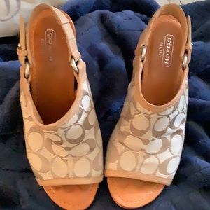COPY - Shoe